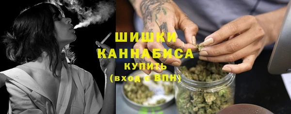 амф Инсар