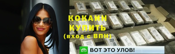 спайс Инта
