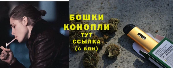 спайс Инта